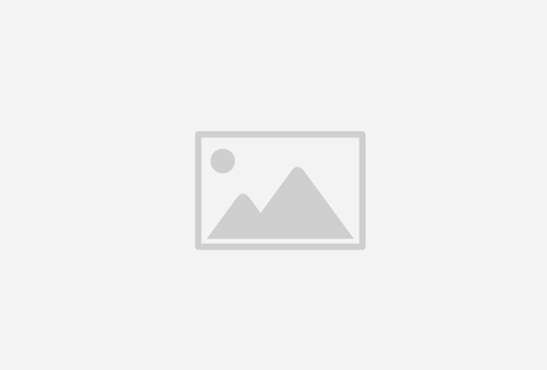 Xchat會成為跨境內容創業的新機遇嗎？
